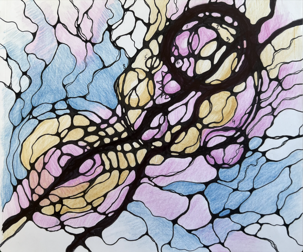 neurographic art drawing scribble 12